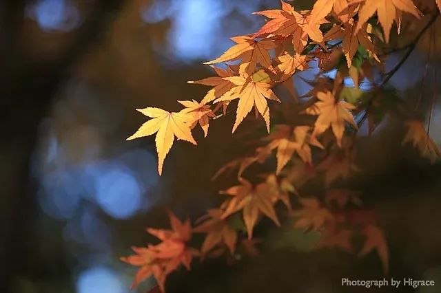 50个摄影技巧太强大了_摄影技巧集_摄影技巧大全