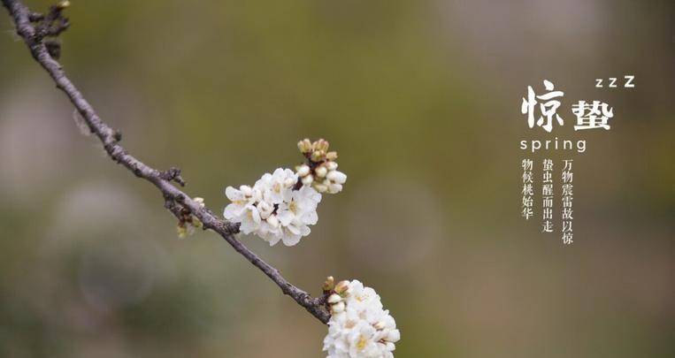 虚拟现实的历史_重现虚拟现实历史发展趋势_虚拟现实历史重现