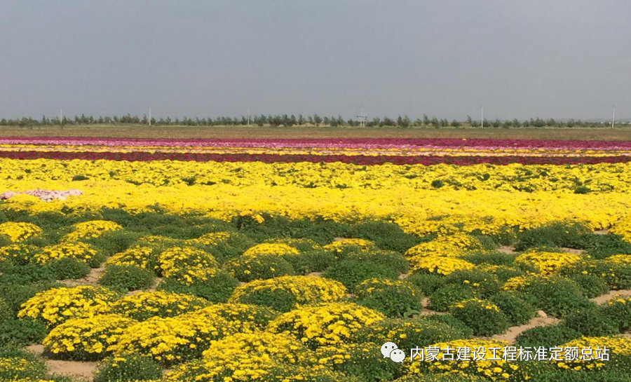 园艺景观服务设计招聘_园艺设计景观_园艺景观设计服务