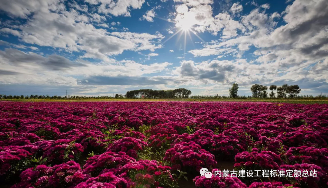 园艺设计景观_园艺景观设计服务_园艺景观服务设计招聘