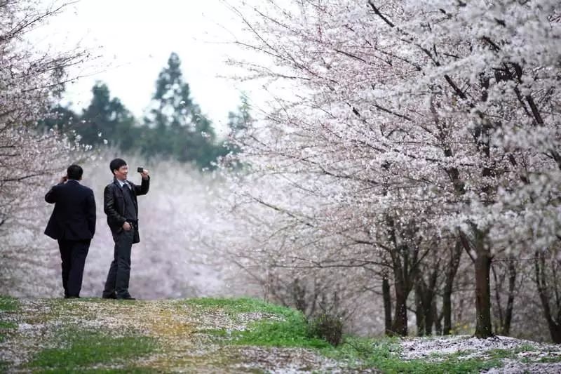 定制旅行服务与技能_定制旅行服务与技能电子版_旅行定制服务