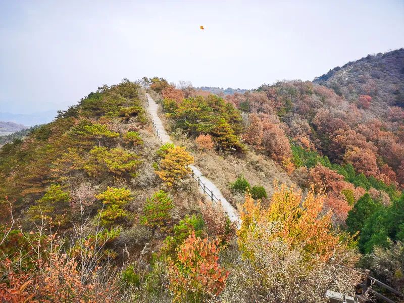 团体徒步_组团徒步_户外徒步旅行团