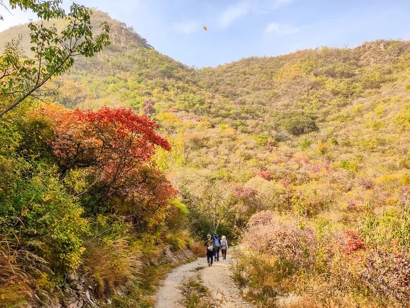 组团徒步_户外徒步旅行团_徒步旅游团