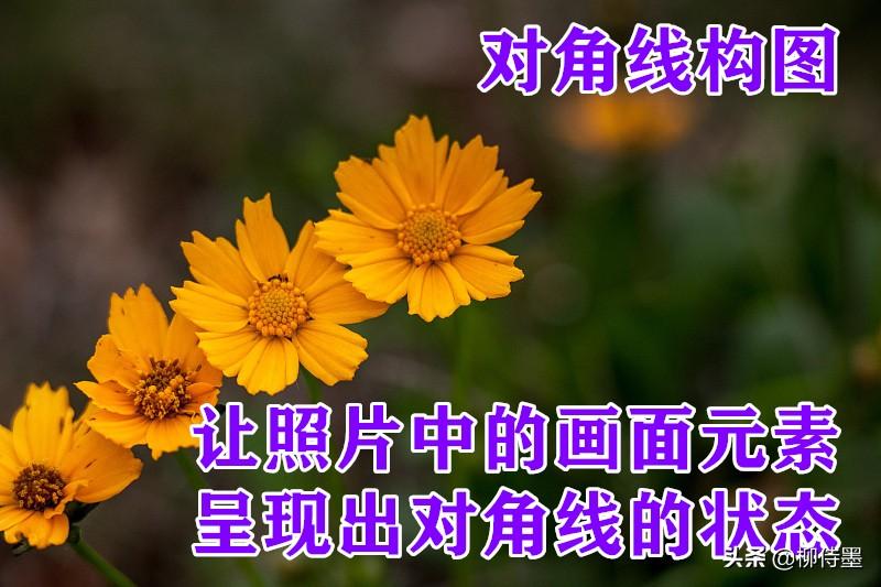 摄影技巧分享会策划案_摄影技巧分享心得_摄影技巧分享