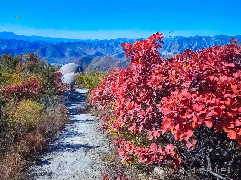 团体徒步_组团徒步旅行_户外徒步旅行团